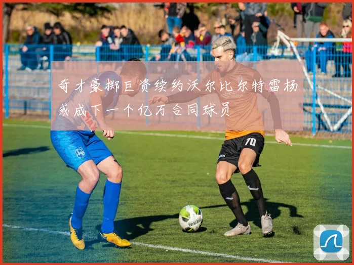 奇才豪掷巨资续约沃尔比尔特雷杨或成下一个亿万合同球员