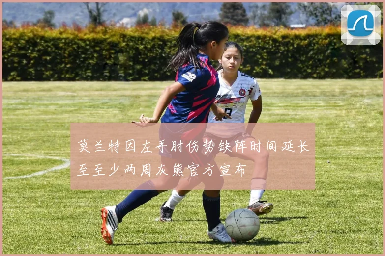 莫兰特因左手肘伤势缺阵时间延长至至少两周灰熊官方宣布