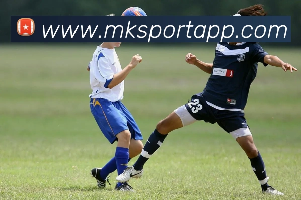 App Interface Preview